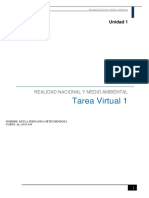R.N.Tarea Virtual1