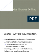 Gas Hydrates Drilling