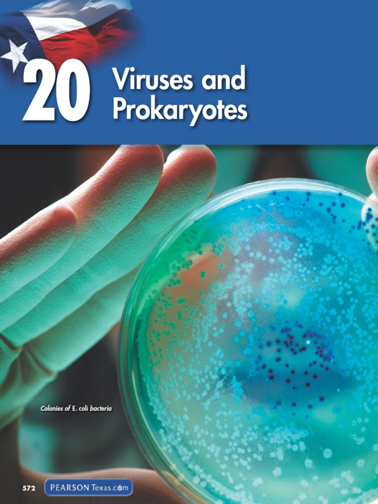 Understanding Viruses and BSE | PDF | Virus | Bacteriophage