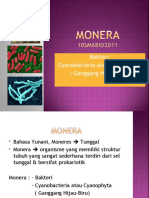 B4 Monera (2019 - 08 - 17 13 - 12 - 34 Utc)
