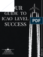 Your Guide To ICAO Level Success