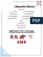 Proyecto STEAM2