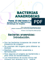 14 - Bacterias Anaerobias - 16
