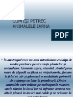 iarna_ppt