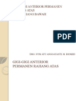 Lecture 8 - Anatomi Gigi Anterior Permanen