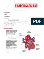 Sistema Cardiovascular