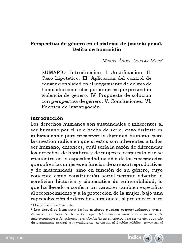 Perspectiva de Género en Homicidios Femeninos | PDF | La violencia ...