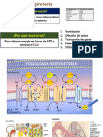 Fisio Respiratoriook