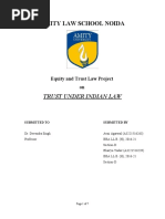 Equity and Trust Law Project