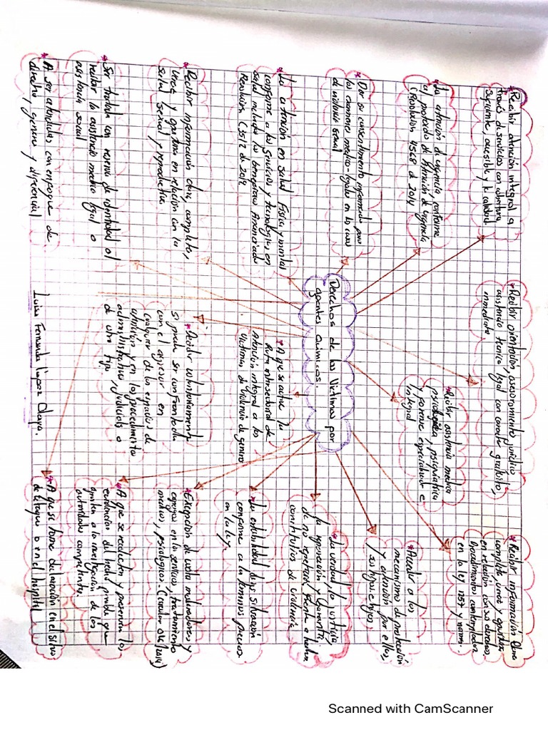 Mapa Mental Derecho de Las Victimas Por | PDF