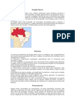 A Região Norte É A Maior Do País em Extensão Territorial