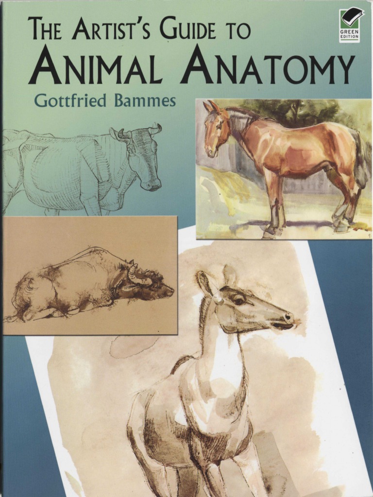 The Artists Guide To Animal Anatomy | PDF
