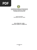 Relatório de campo de Geo Urbana e Ambiental - Alex  e Noeverton