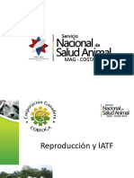Reproducción IATF (002)