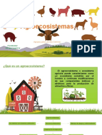 Agroecosistemas: qué es y componentes clave