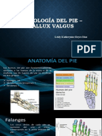 Radiología Del Pie - Hallux Valgus: Leidy Katherynne Reyes Diaz Pitalito - Huila Zona Sur