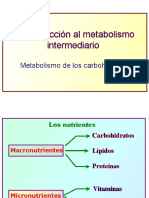 Metabolismo de Ch b