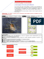 La Vie Microscopique en Mouvement: Etudier Des Mouvements Microscopiques Et Les Facteurs Qui Les Influencent