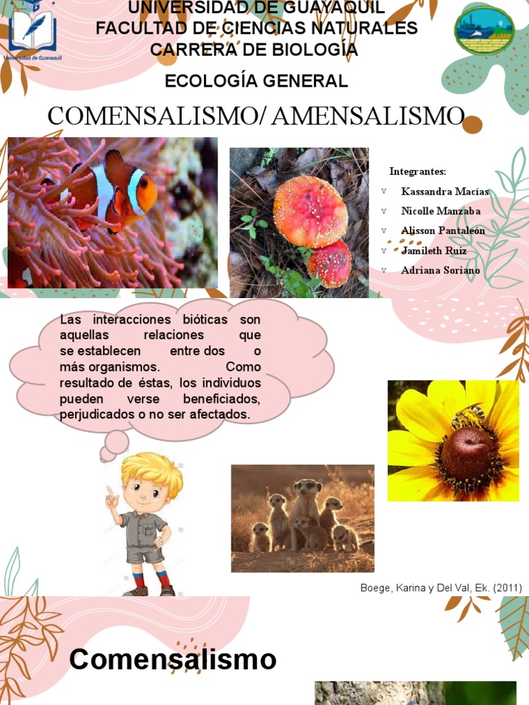 Ejemplos de Amensalismo y Comensalismo | PDF