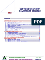 Gestion Du Serveur Commandes_consoles