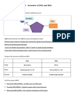 Structure of DNA and RNA