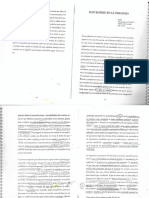 Sostenerse en La Paradoja en Paradojas de La Representación N. Schnaith