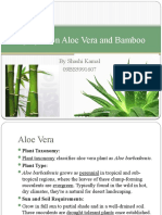 A Project On Aloe Vera and Bamboo