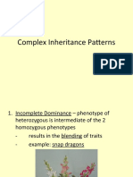 Complex Inheritance Patterns