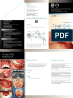 Cirugia Oral y Maxilofacial 2013 NV