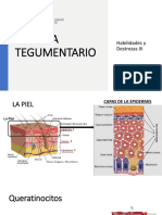 Sistema Tegumentario