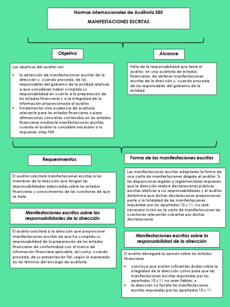 Nia 580 | PDF | Contralor | Auditoría