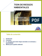 Gestión de Riesgos Ambientales en la Minería (GRAm