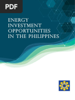 Energy Investment Opportunities 2019