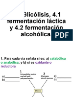 R8 4.0 Glicólisis 4.1 F Láctica 4.2 F Alcohólica