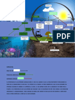 Ciclo CO2: fotosíntesis, respiración, emisiones