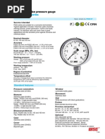 Model: P252 Series: Euro Gauge Industrial Service Pressure Gauge