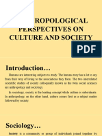 Anthropological Perspectives On Culture and Society