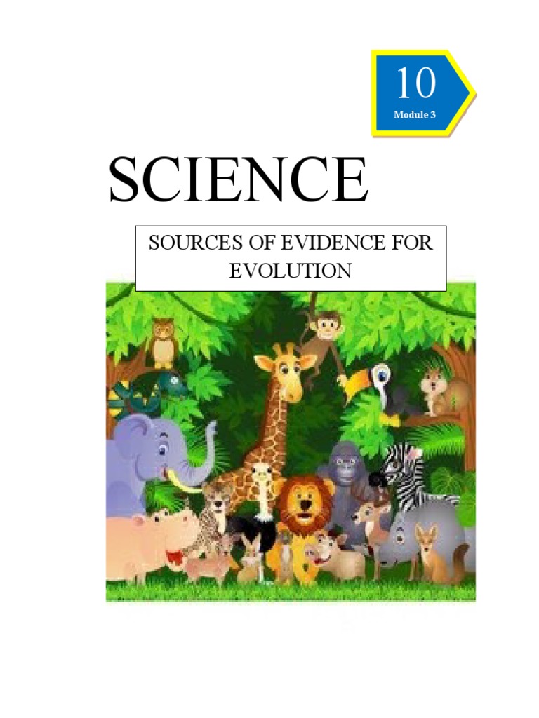 Evidence of Evolutionary Relationships | PDF | Fossil | Homology (Biology)
