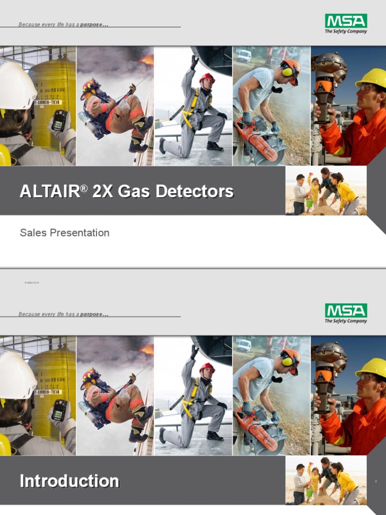 ALTAIR 2X Single Gas Detector H2S PDF Sensor Electrochemistry