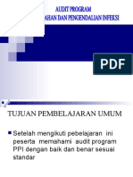 Audit Program Ppi