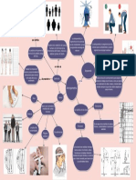 Mapa Conceptual Antropometria