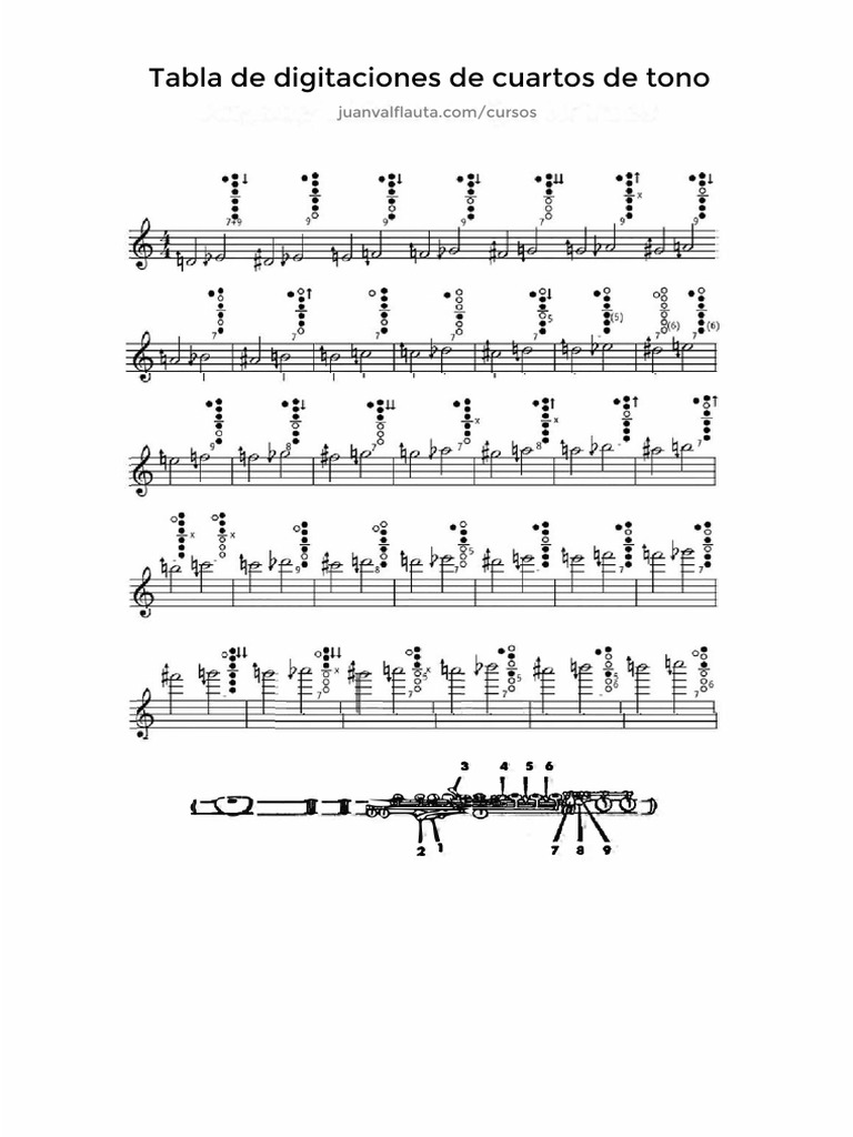 Digitaciones de Los Cuartos de Tono | PDF