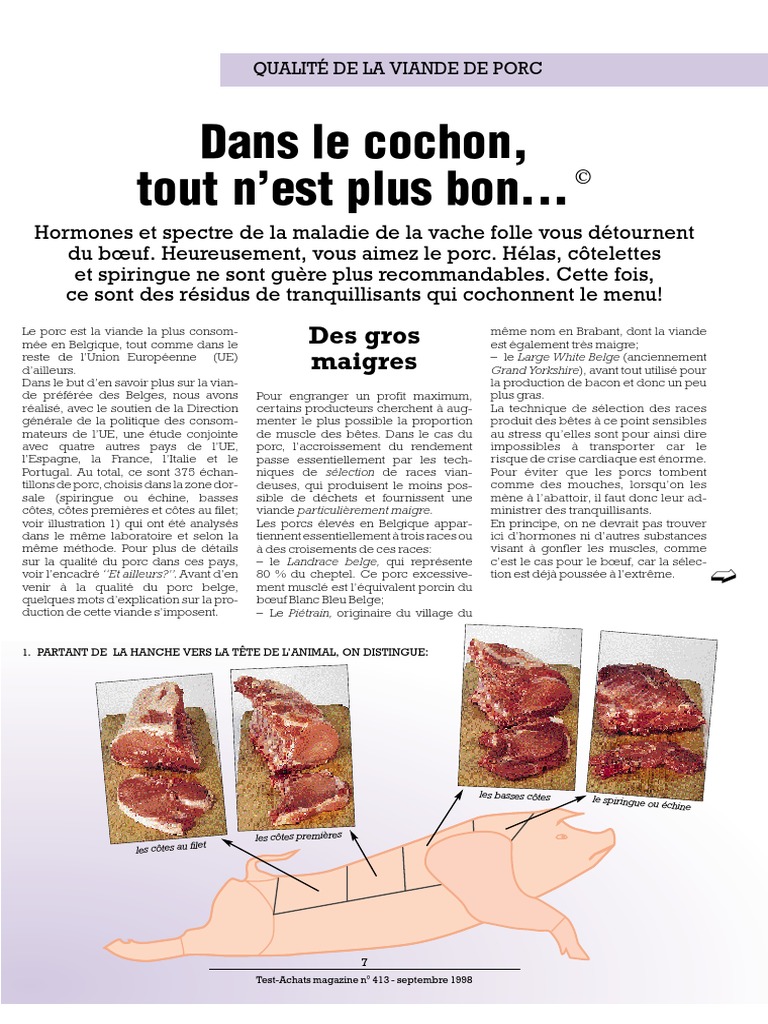 Viande de Porc, PDF, Viande