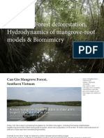 3 Case Studies, Mangroves