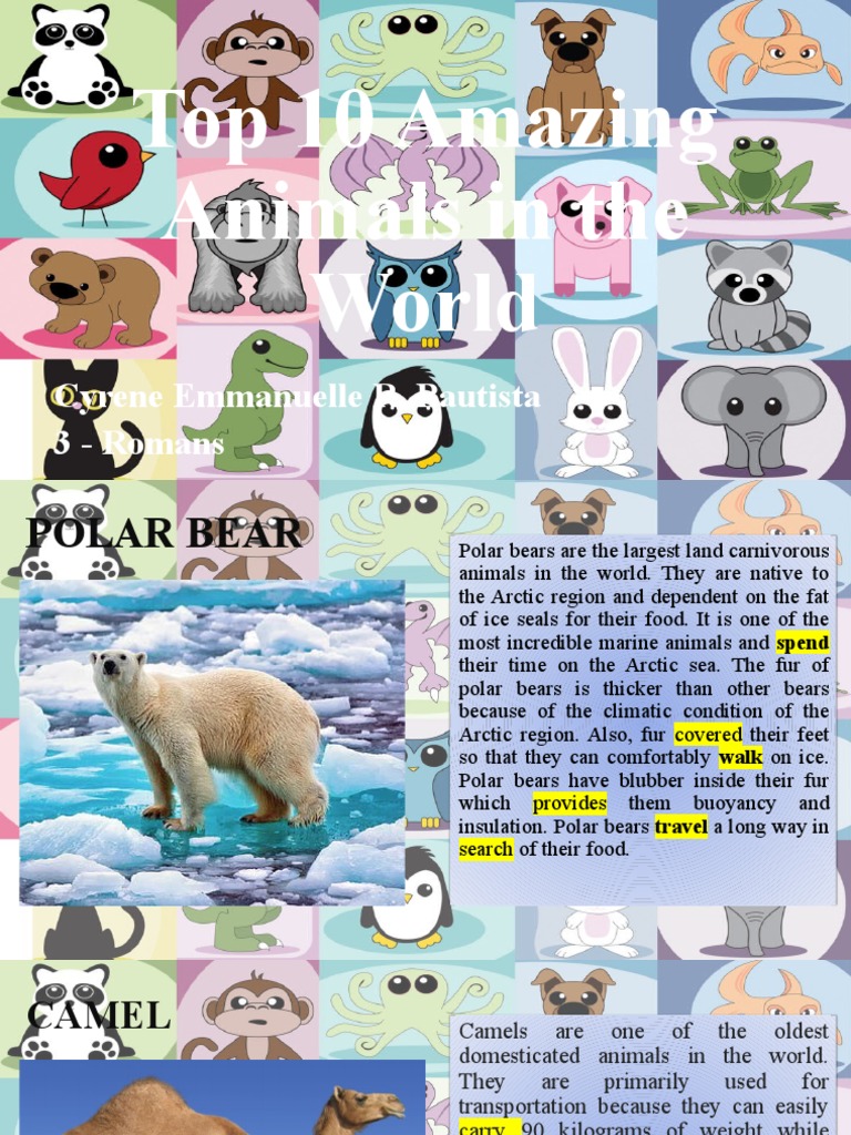 Top 10 Amazing Animals in The World PDF Tiger Polar Bear