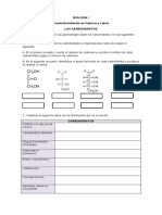 Hoja de Trabajo Los Carbohidratos