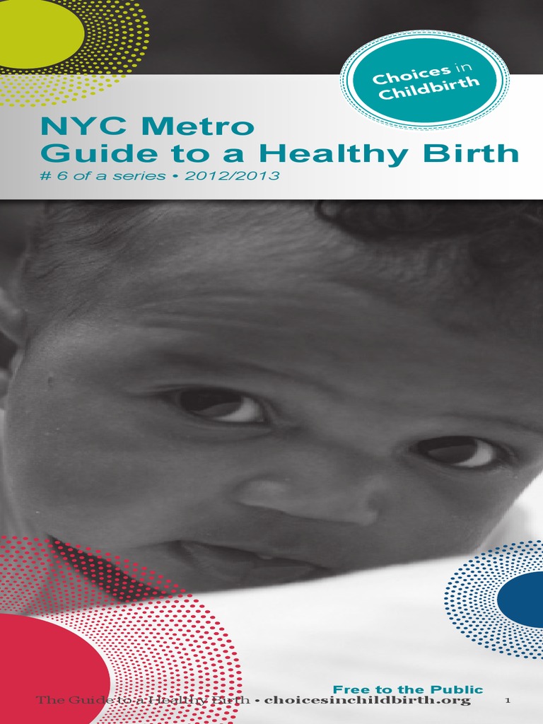 NY Guide To A Healthy Birth | PDF | Childbirth | Doula