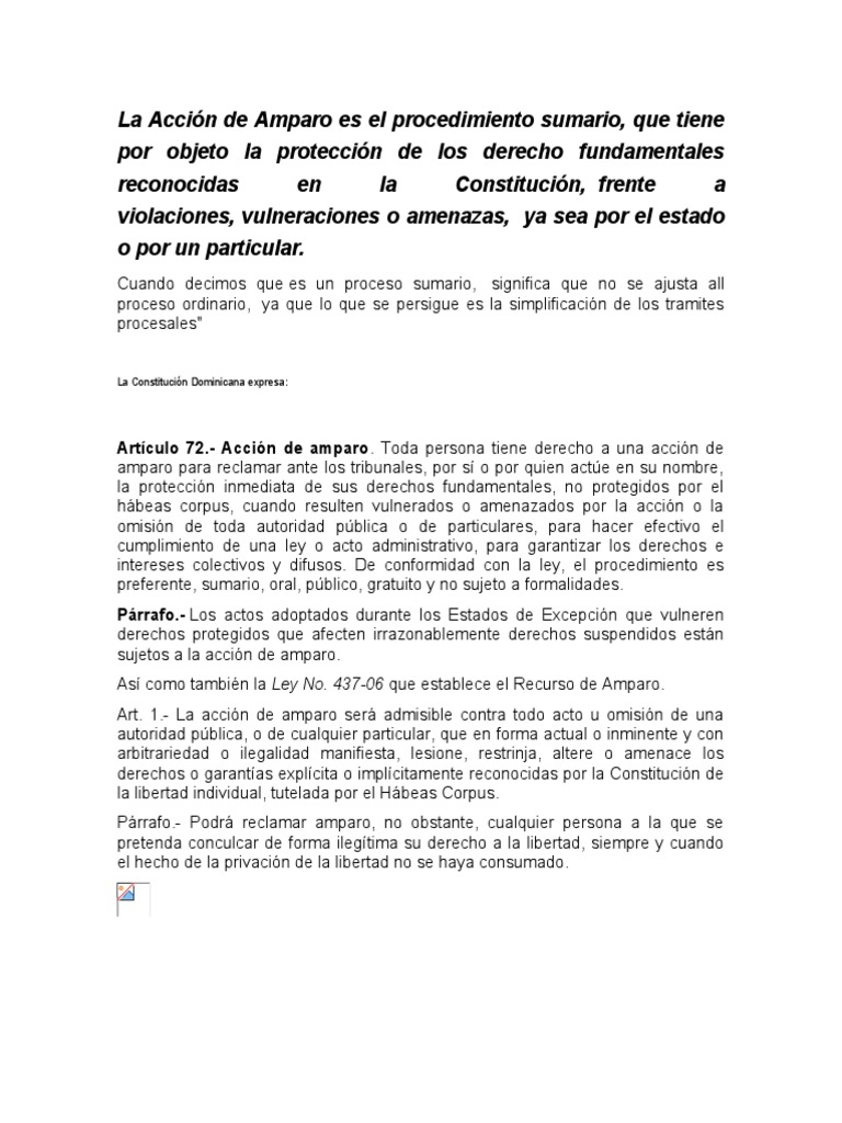 La Accion de Amparo | PDF | Derecho Constitucional | Habeas corpus