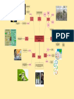 Mapa Mental Unidad 2