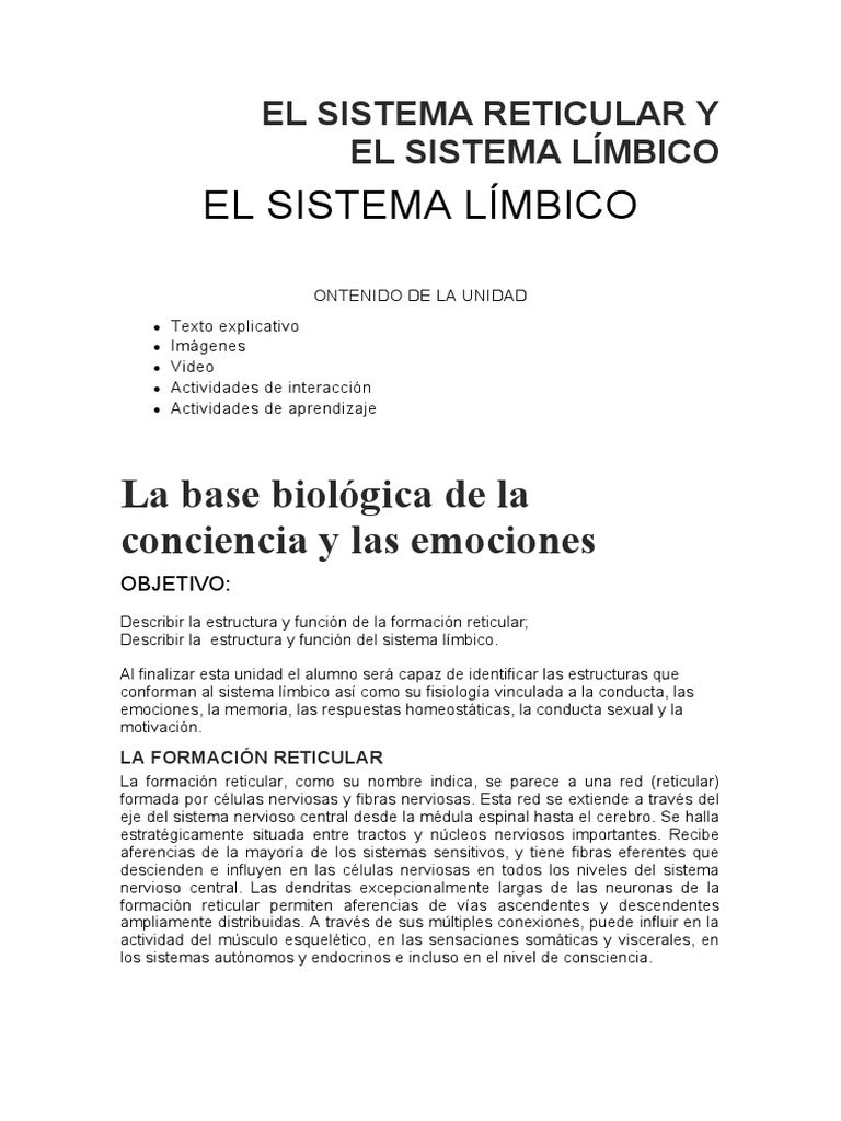 El Sistema Reticular y Limbico PDF Sinapsis La potenciación a